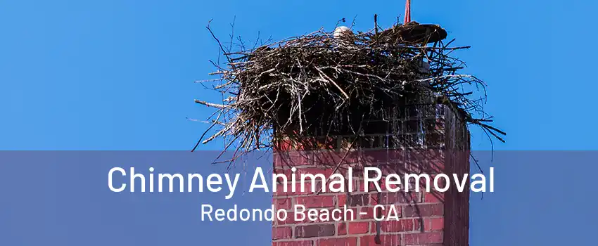 Chimney Animal Removal Redondo Beach - CA