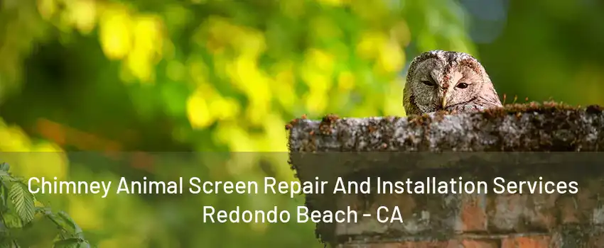 Chimney Animal Screen Repair And Installation Services Redondo Beach - CA