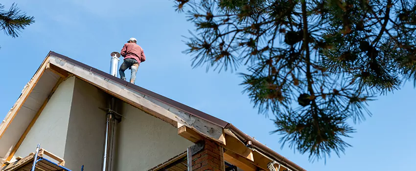 Birds Removal Contractors from Chimney in Redondo Beach, CA